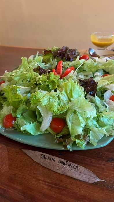 Salada orgânica Pousada Roca